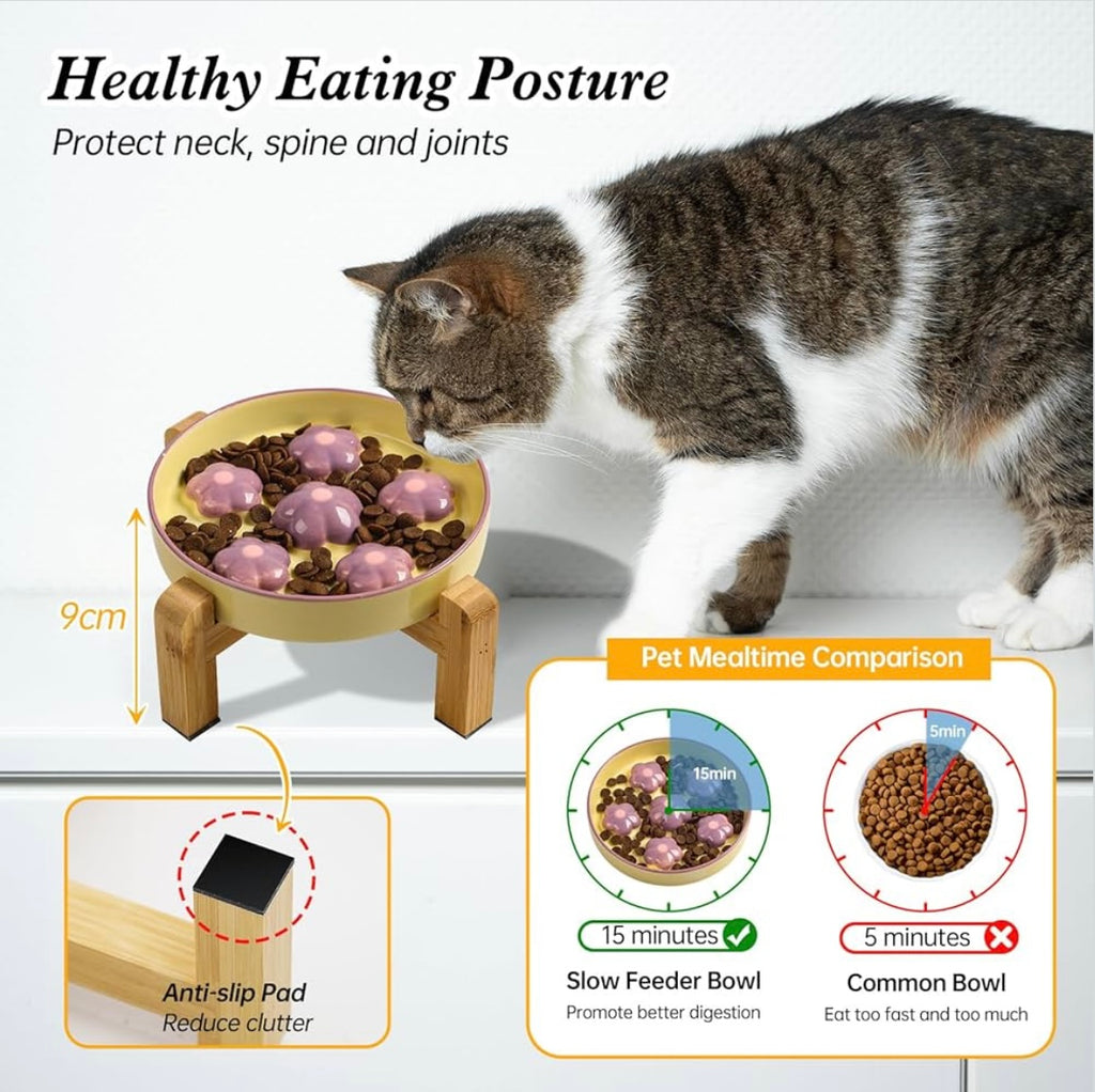 Purrlumi Slow Feeder Cat Bowl