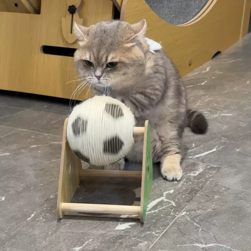Purrlumi Cat Scratch Ball Toy