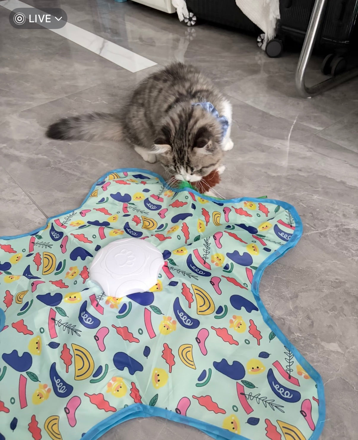 Purrlumi Electric Hide and Seek Cat Toy