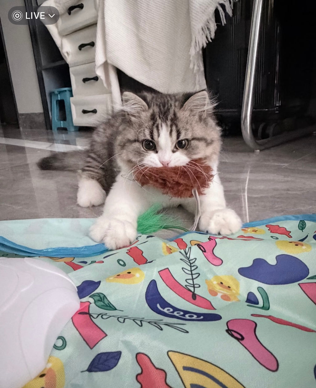 Purrlumi Electric Hide and Seek Cat Toy