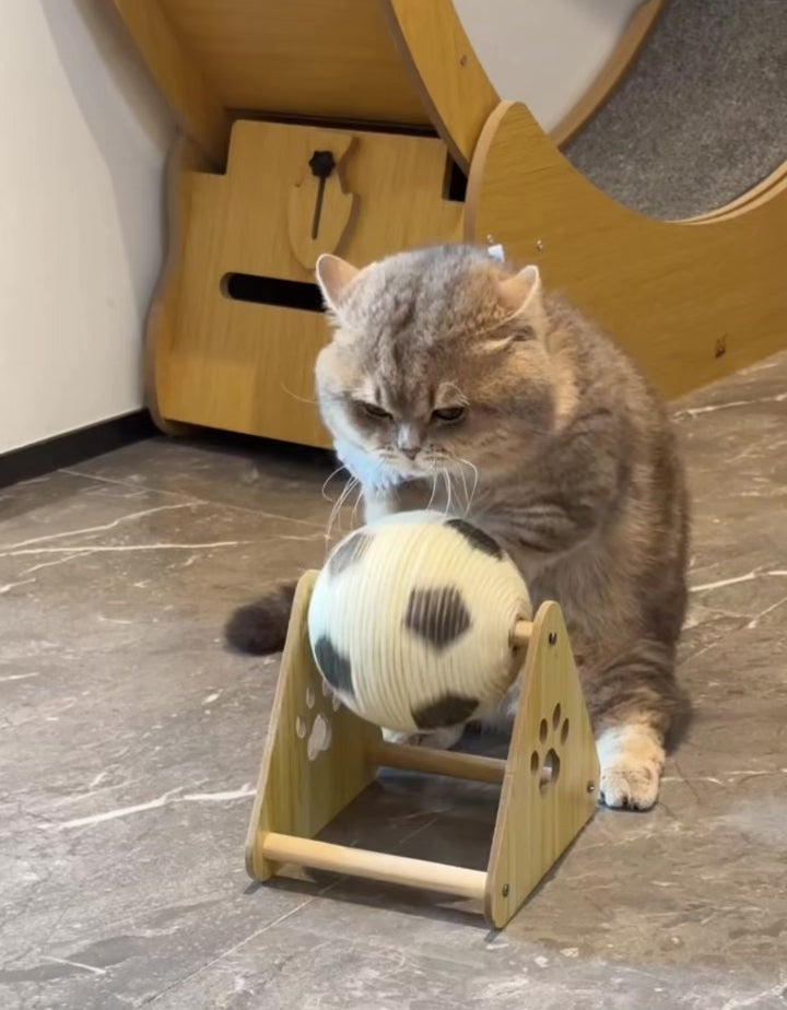 Purrlumi Cat Scratch Ball Toy